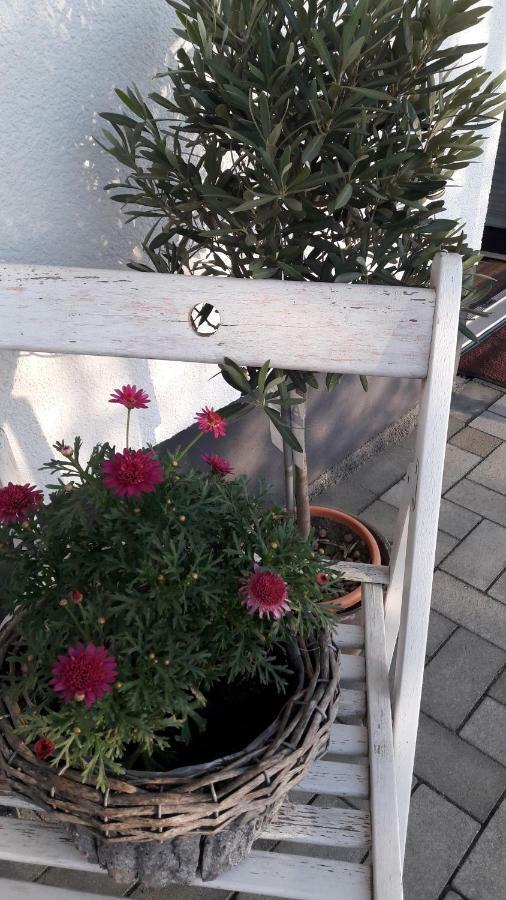 Ferienwohnung Sayntalblick Caan Bagian luar foto