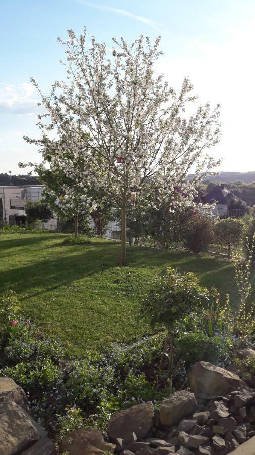 Ferienwohnung Sayntalblick Caan Bagian luar foto